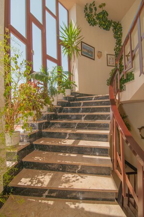 A staircase with marble steps and a wooden railing, surrounded by potted plants and framed pictures on the walls. - Hotel Costa de Ajo (Bareyo)
