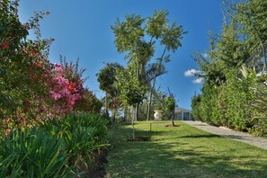 Garden - Monte Vidéo Guest House (Wellington)