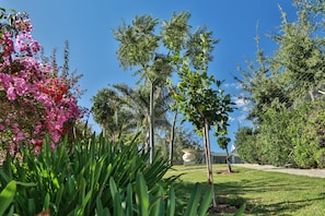 Garden - Monte Vidéo Guest House (Wellington)