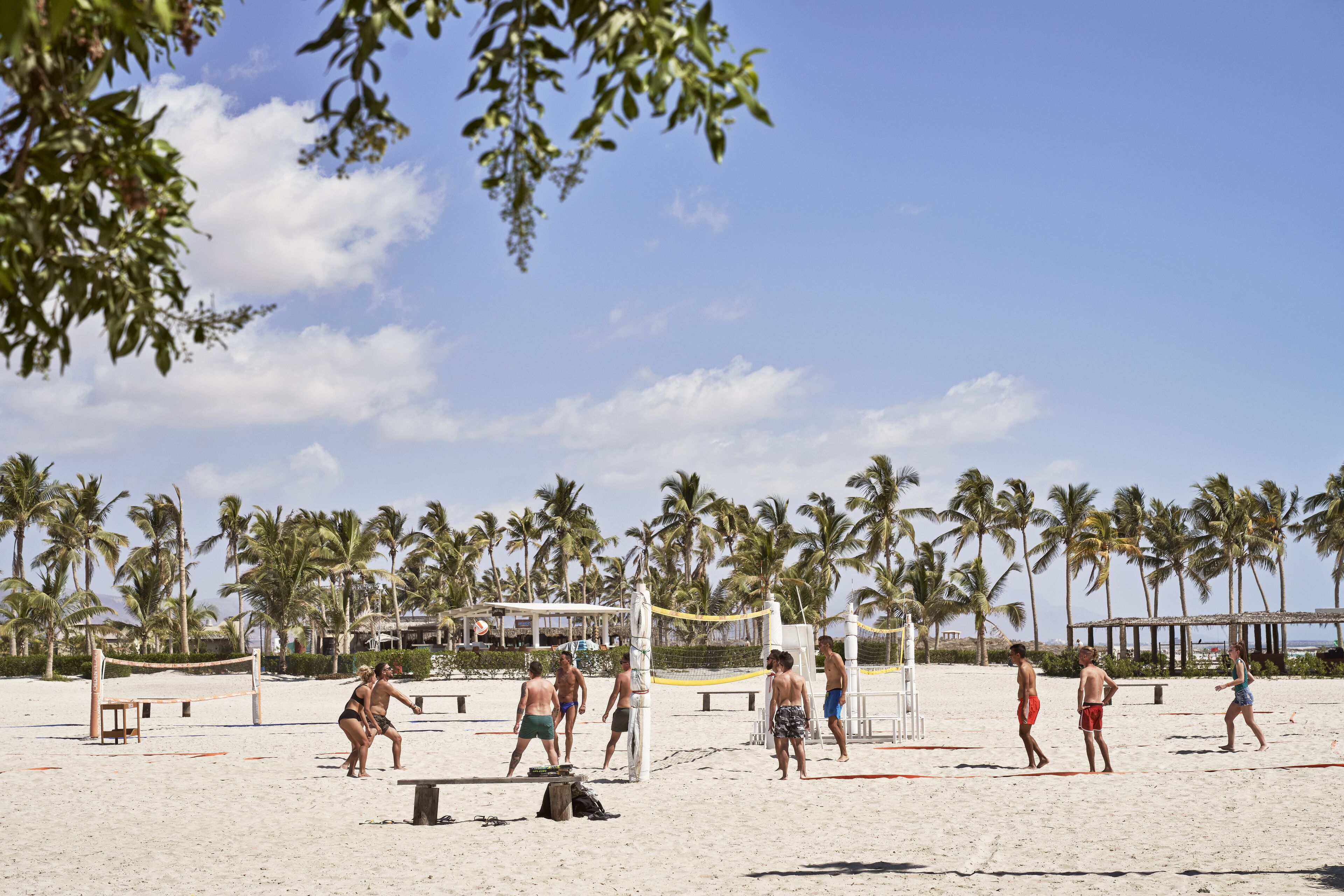 Partido de voleibol de playa con jugadores en traje de baño, palmeras y una red de voleibol en una playa arenosa.