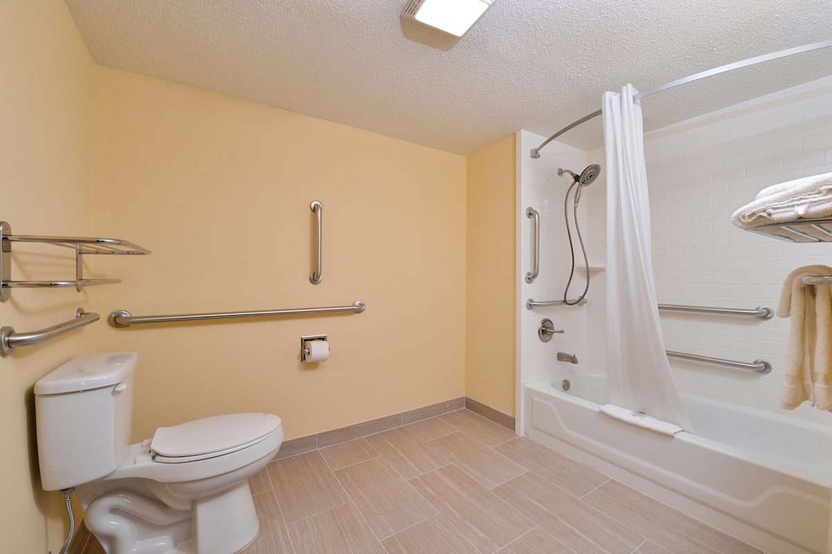 room, 1 king bed, accessible, non smoking | desk, iron/ironing board, free wifi, bed sheets