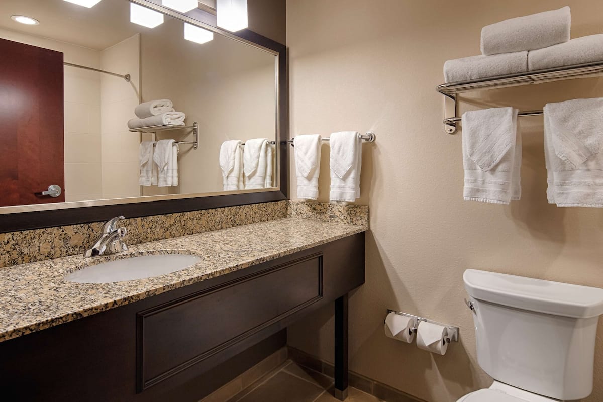 free toiletries, hair dryer, towels