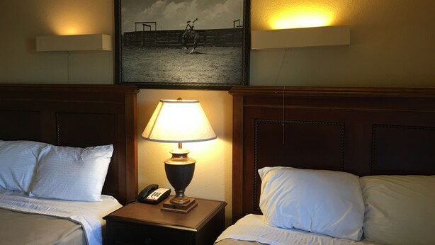 Standard Room, 2 Queen Beds | WiFi (free) - Reddy Inn and Suites (Albany)