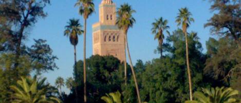 A building with a tower, surrounded by palm trees.
