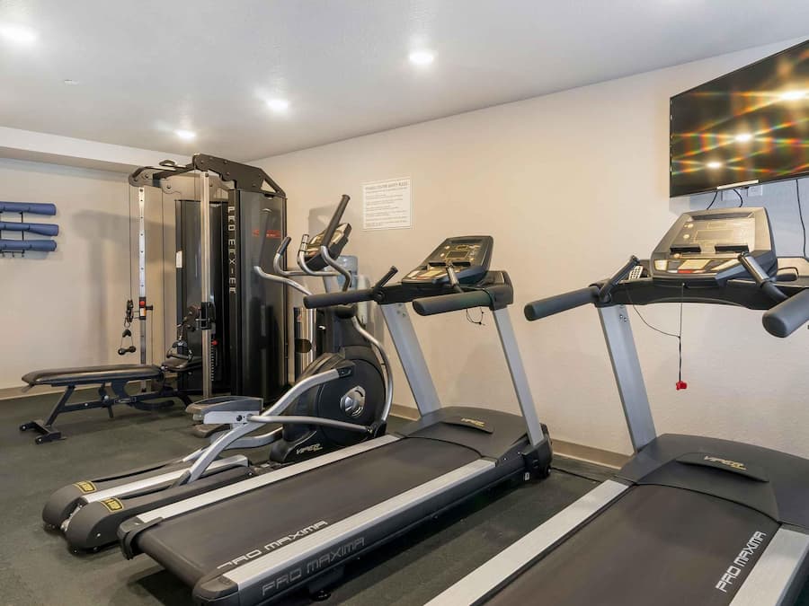 A gym with treadmills, a weight machine, and a bench.