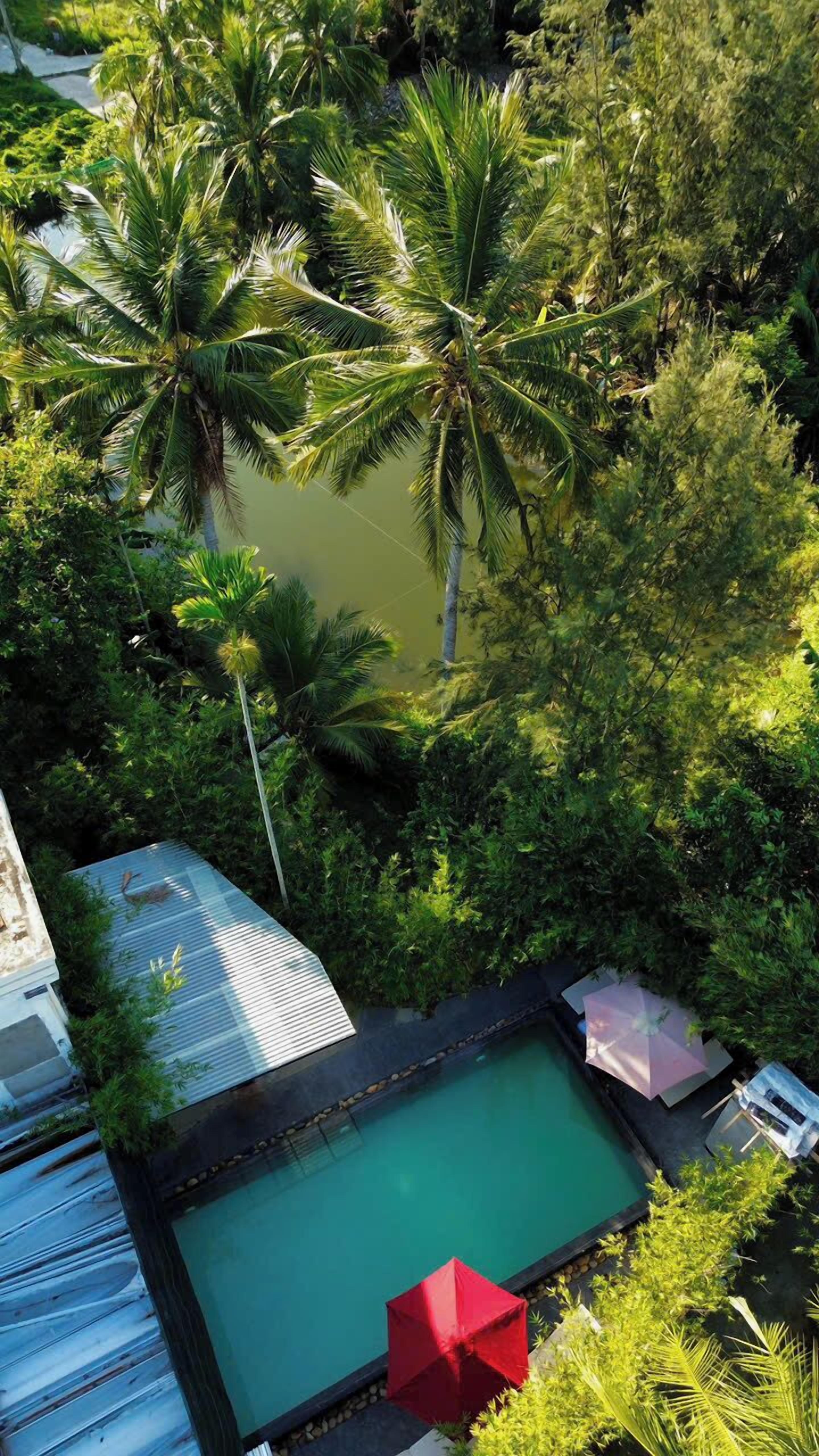 A rooftop pool surrounded by lush greenery and palm trees.