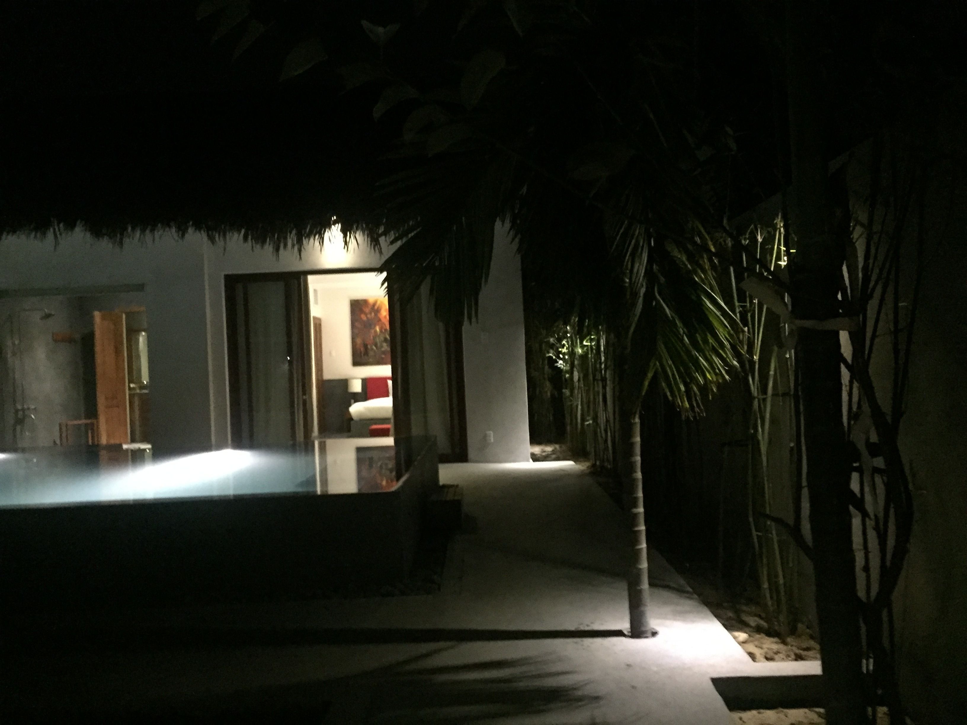 A dimly lit pathway leading to a building with a thatched roof, surrounded by palm trees.