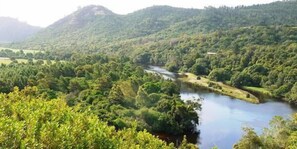 Cottage (Velvet Moon) | View from room