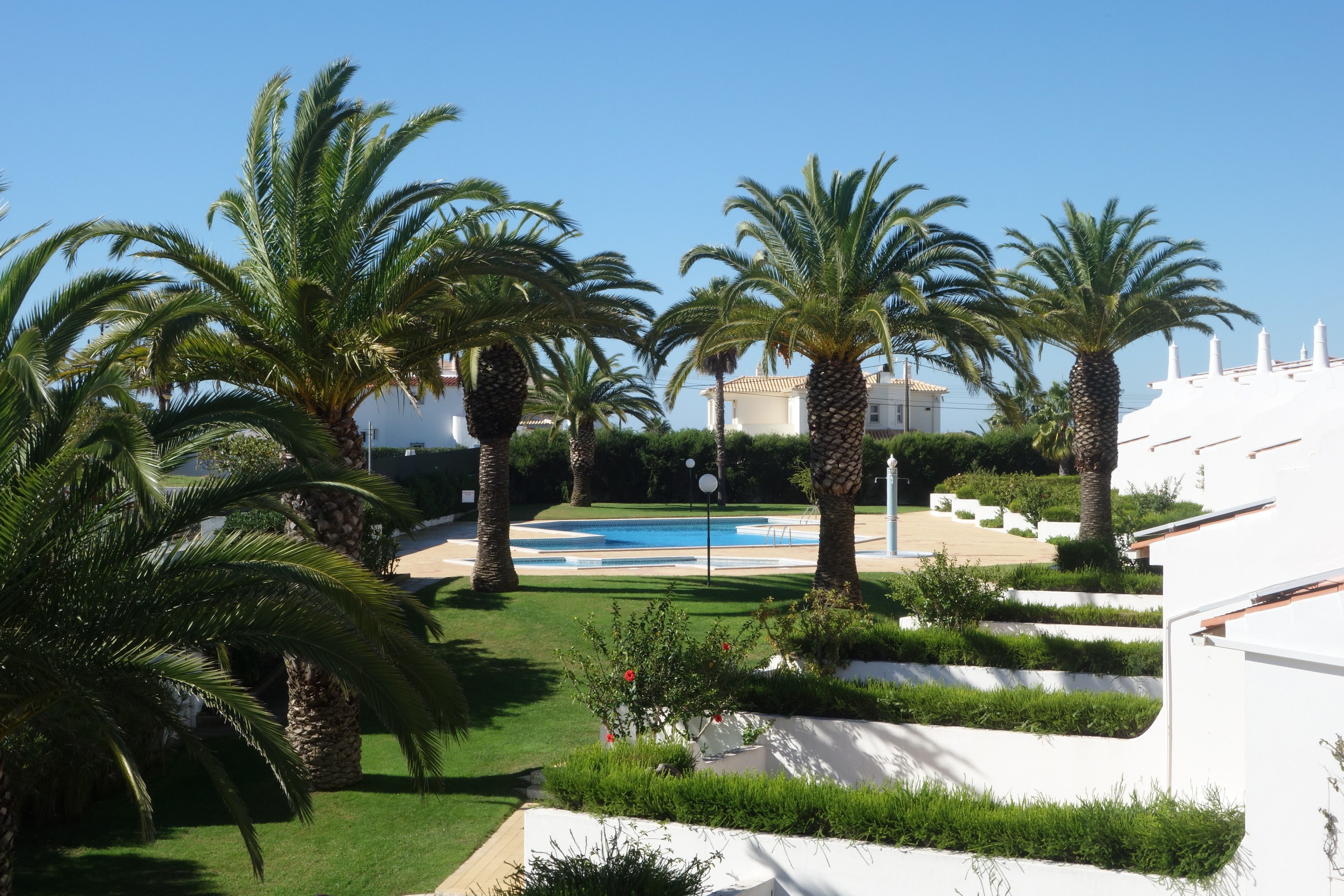 A pool area surrounded by palm trees and white buildings.