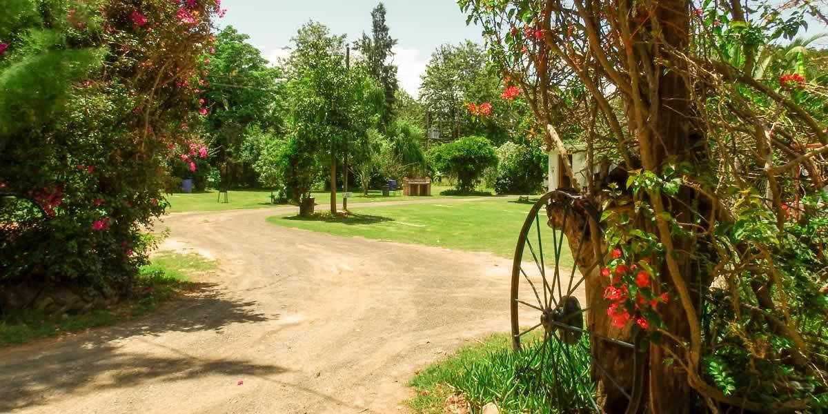 Uma estrada rural que conduz a uma propriedade cercada por vegetação exuberante e plantas floridas.