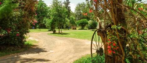 Uma estrada rural que conduz a uma propriedade cercada por vegetação exuberante e plantas floridas.