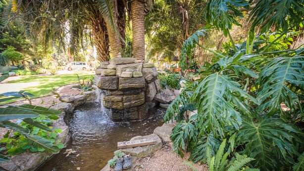 A garden with a small waterfall, surrounded by lush greenery and a stone structure. - Homestead B & B (Addo)