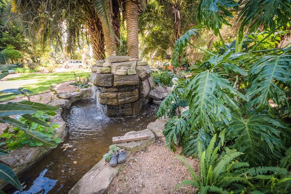 Property grounds - Homestead B & B (Addo)