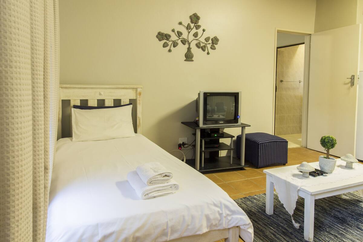 A hotel room with a bed, a television on a stand, a small table with a plant, and a door leading to a bathroom.