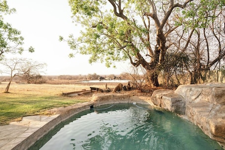 Outdoor pool, pool umbrellas, sun loungers