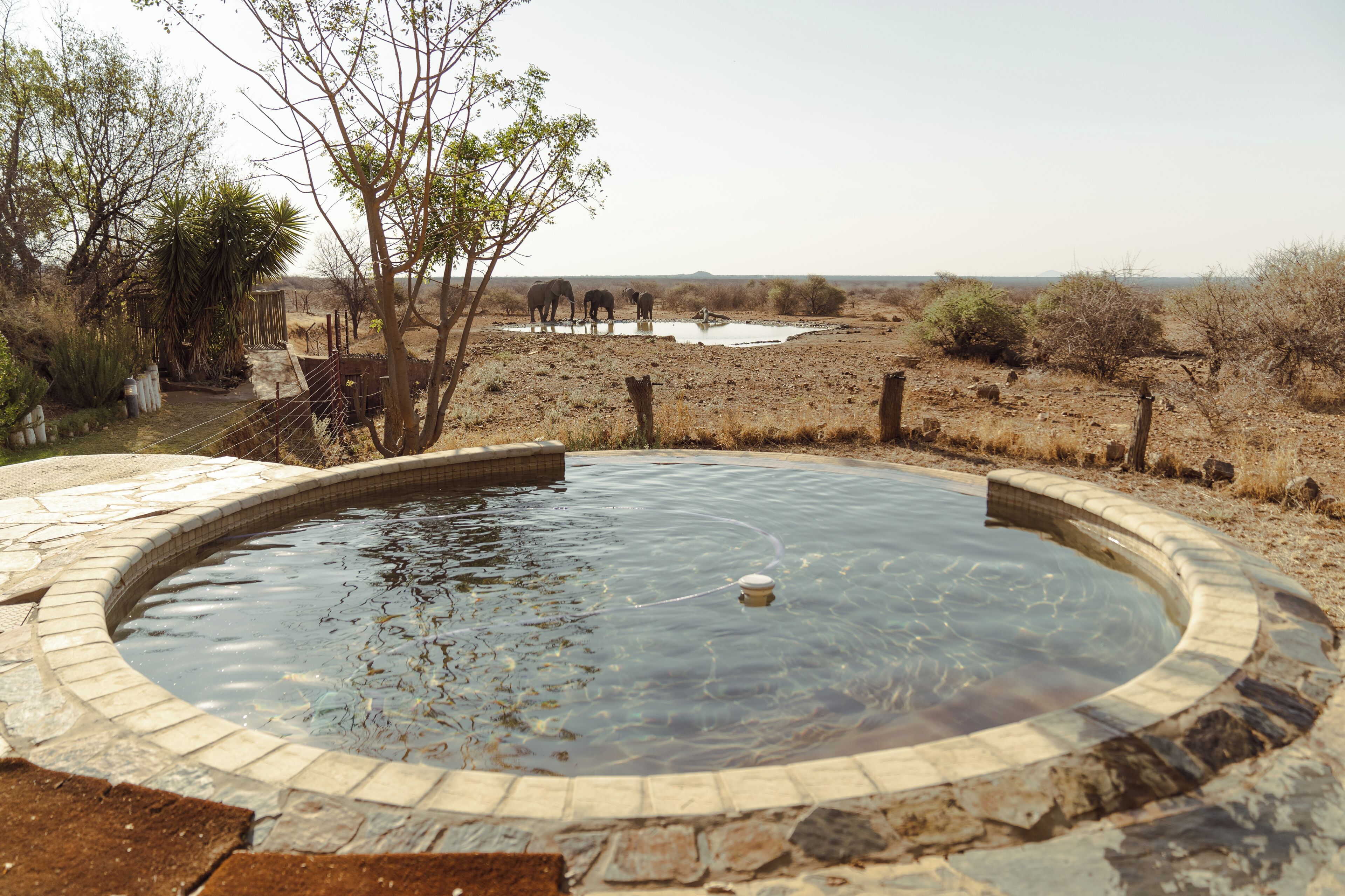 A hot tub surrounded by a dry landscape with a few trees and a distant view of elephants.