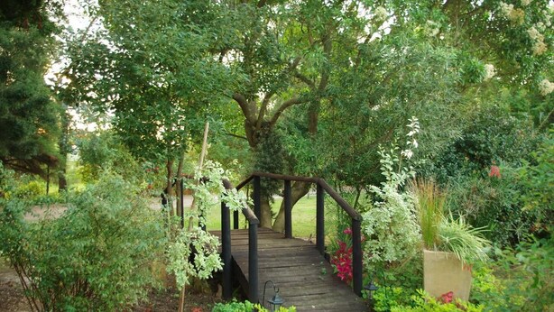 Eine hölzerne Brücke in einem Garten mit verschiedenen Pflanzen und einem großen Baum.