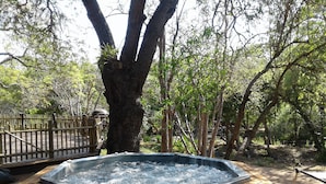 Een hottub op een houten terras, omringd door bomen.