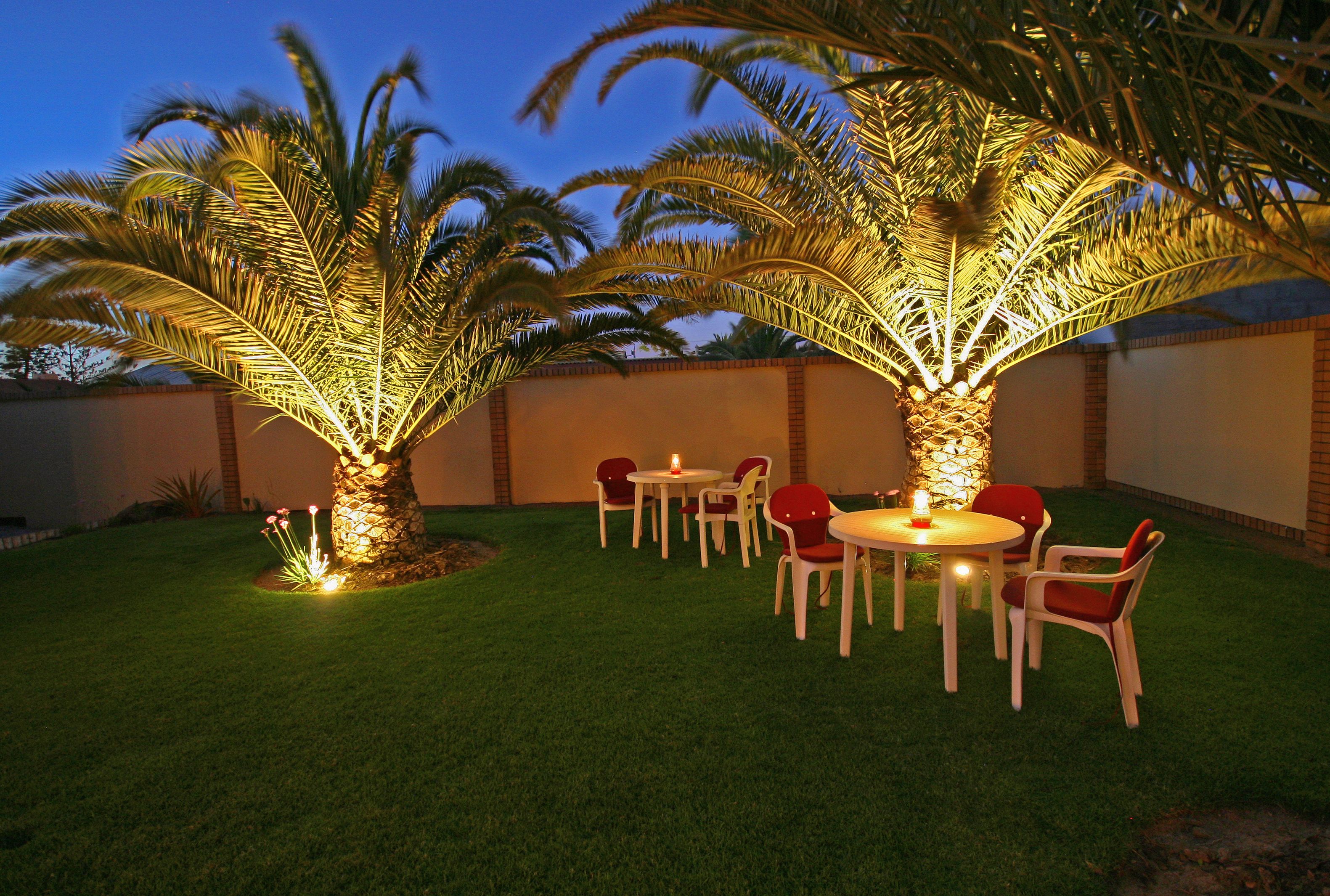 Un espace extérieur aménagé en terrasse, avec une table et des chaises, entouré de palmiers et d’une pelouse bien entretenue.