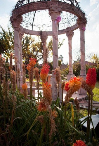 Acre of Africa Guest Venue