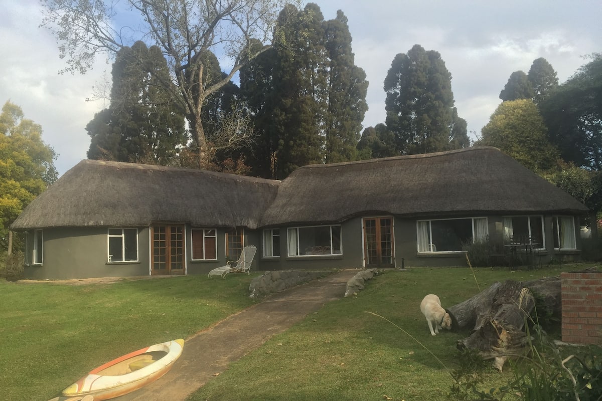 A thatched-roof cottage with a grassy yard, a canoe, and a dog.