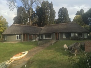 A thatched-roof cottage with a grassy yard, a canoe, and a dog. - Beacon Vlei Guest Farm (Balgowan)