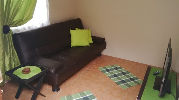 Chambre Confort (Self-Catering Garden Flat) | Aire de séjour | Téléviseur