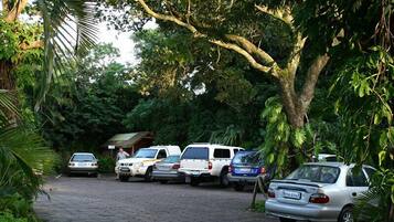 A parking area with several cars parked under a large tree.