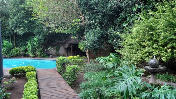 Un sendero de madera que lleva a una piscina rodeada de vegetación exuberante y un bebedero para pájaros.