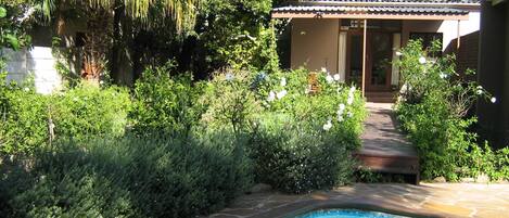 Outdoor pool, pool loungers