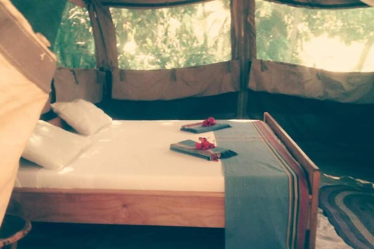 Safari Tent | In-room safe, free WiFi