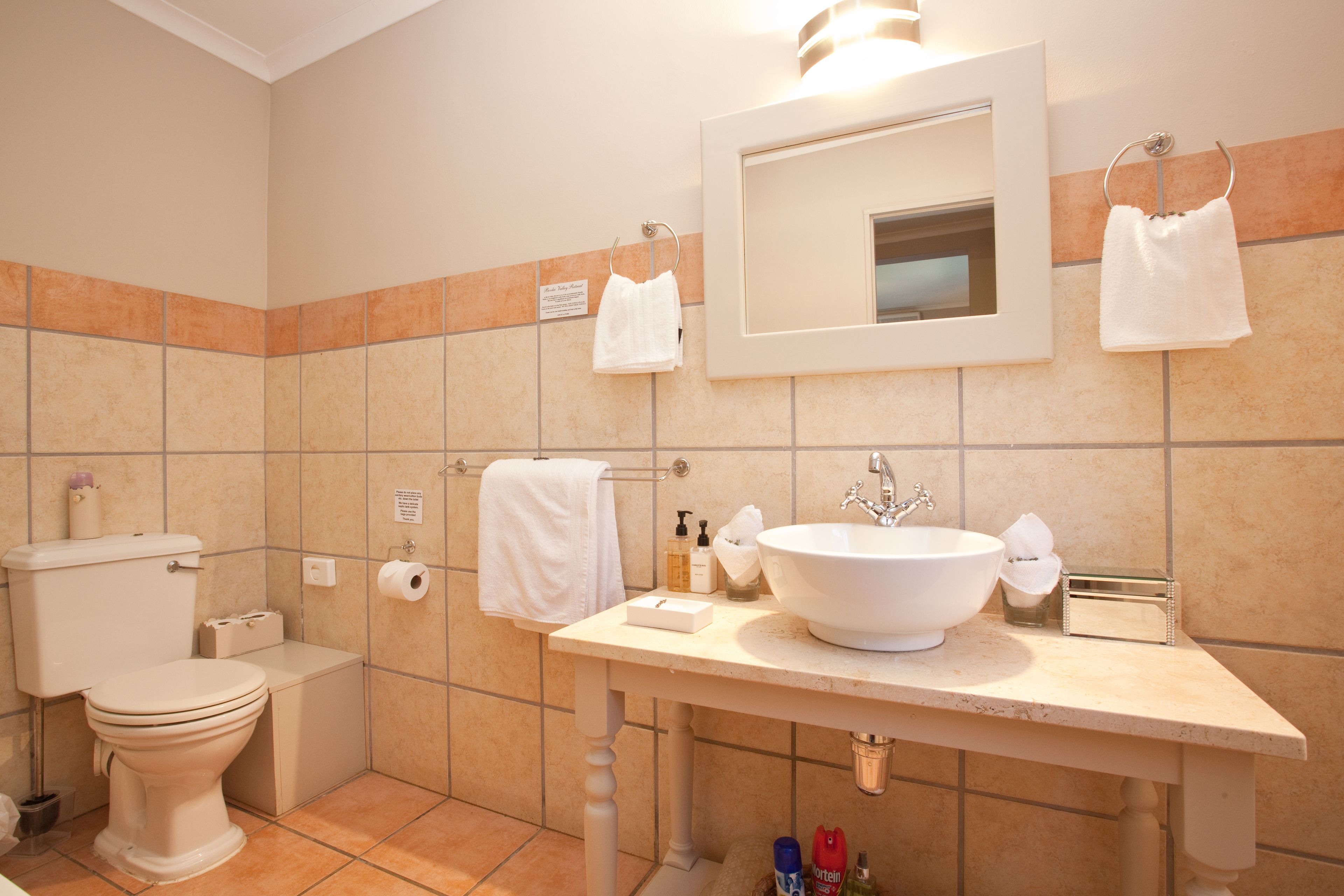 A bathroom with a toilet, sink, and mirror. There are towels hanging on the wall and toiletries on the counter.