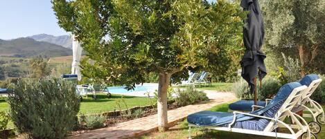 A garden with a pool, lounge chairs, and a tree.