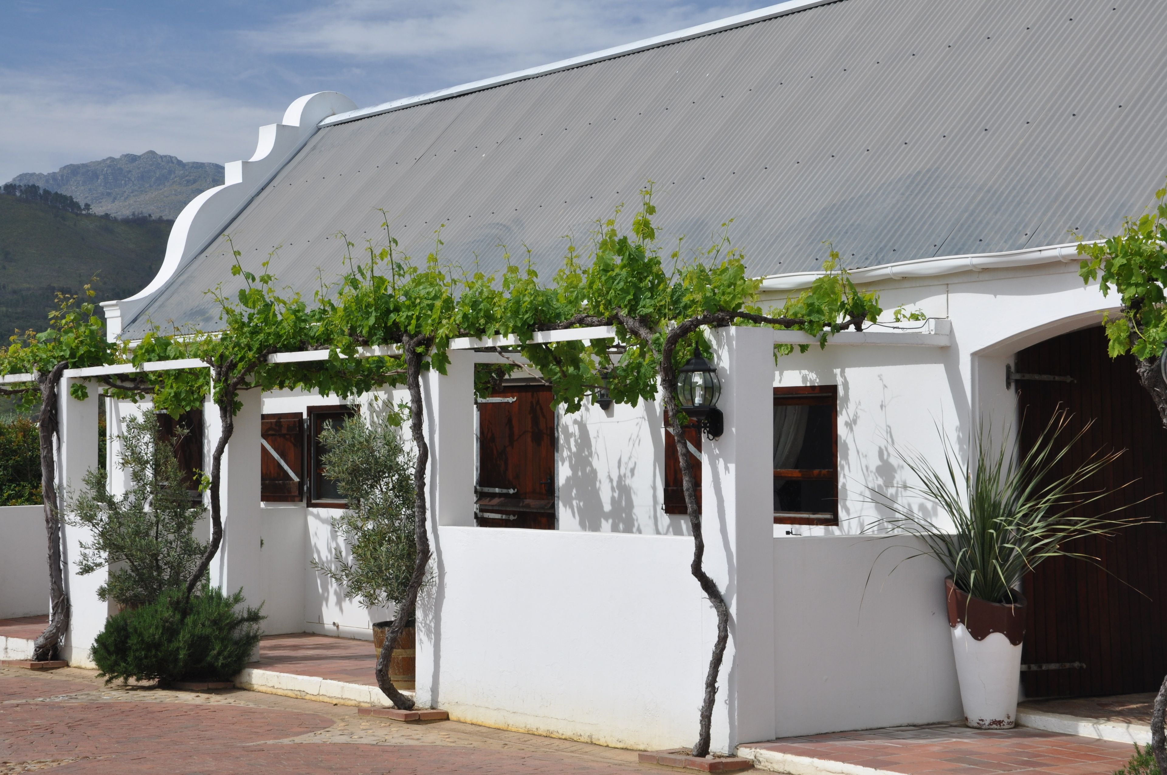 A white building with a corrugated metal roof, vines growing along the exterior, and a mountainous backdrop.