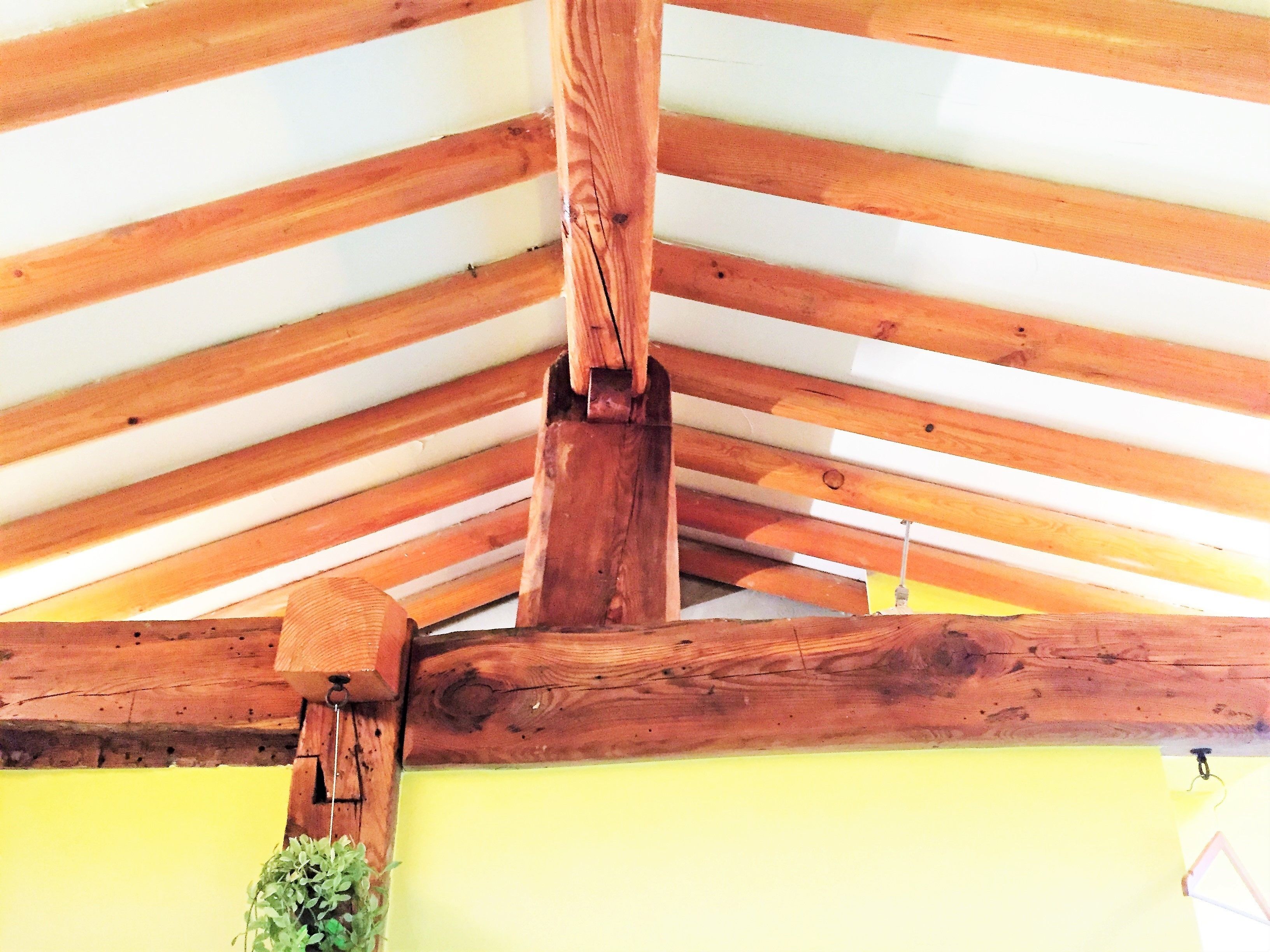 Foto - 'Hanok Hanok' Boutique stay Hotel Seoul - 2min from Gyeongbokgung Palace station