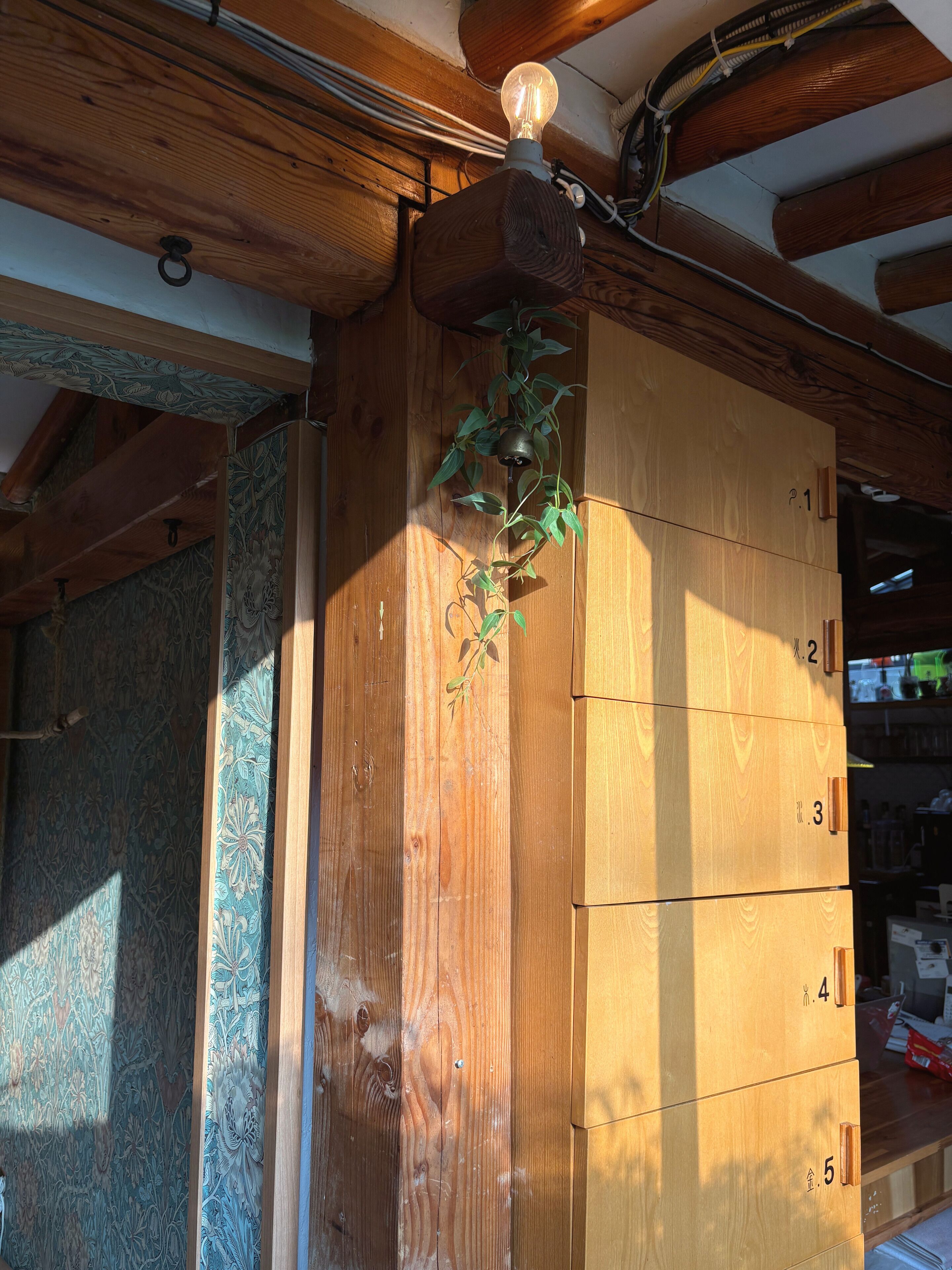 A wooden cabinet with numbered compartments, a hanging plant, and exposed wiring on the ceiling.