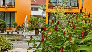 Unclassified image, 2 of 30, button - The Flamingo Hotel (Nakhon Ratchasima)