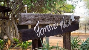 A rustic wooden sign with the inscription "Forever Wild" in cursive, set against a backdrop of trees and plants. - Foreva Wild (Hammanskraal)