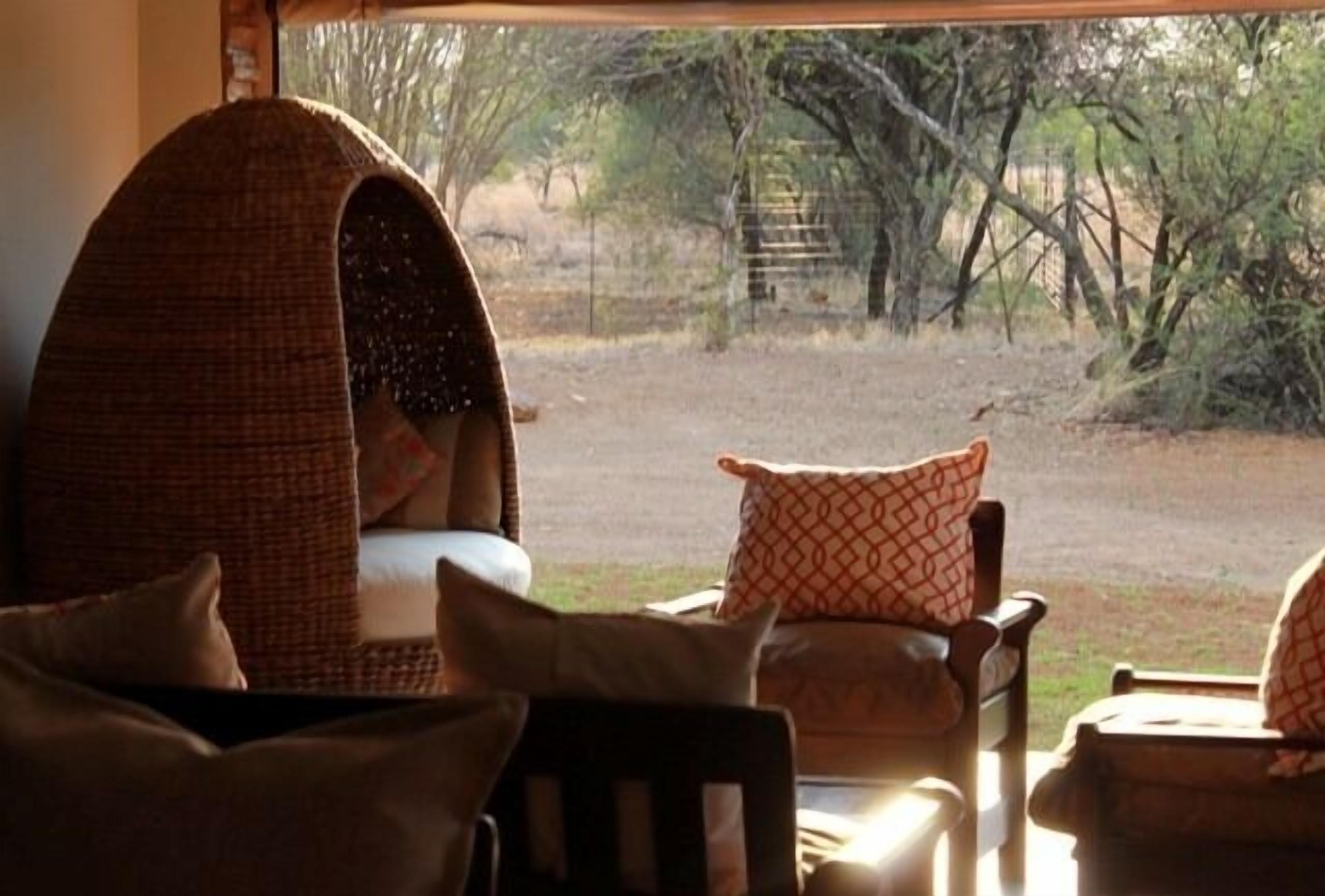 A cozy room with a large window, a woven cat bed, and a cushioned chair.