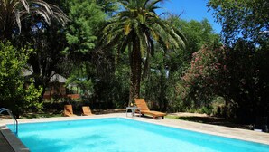 A swimming pool with lounge chairs and a small table, surrounded by lush greenery and palm trees. - Omaruru Guesthouse (Omaruru)