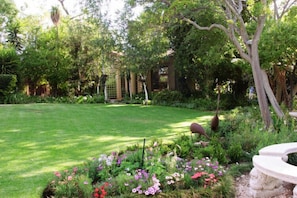 Garden - Ash Manor (Sandton)