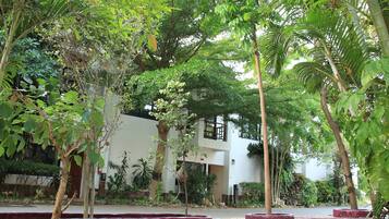 Une cour agrémentée de divers arbres et plantes, un bâtiment à la façade blanche et un chemin pavé.