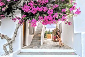 Detalle del exterior