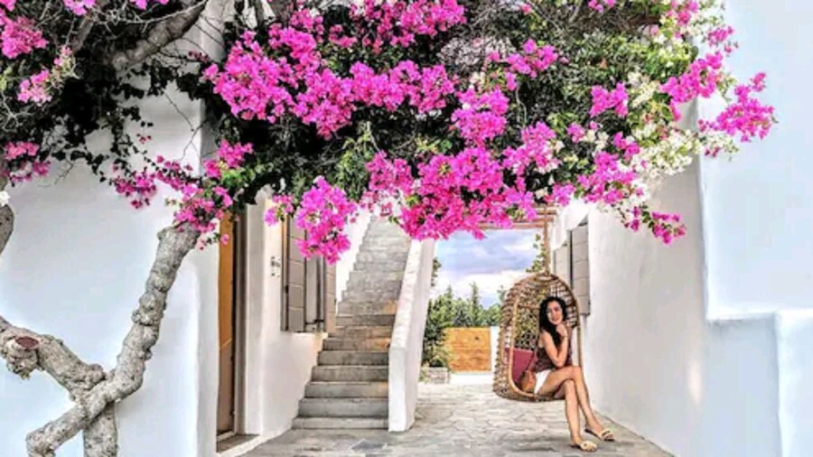 Delmar Apartments & Suites - Delmar Collection