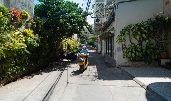 A narrow street with a motorbike, surrounded by lush greenery and buildings.