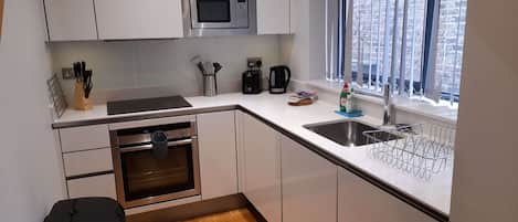 Full-sized fridge, microwave, oven, stovetop