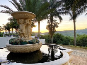 A stone fountain with a statue, surrounded by a circular pool, palm trees, and a view of a distant landscape. - Sherwood's Country House (Tzaneen)