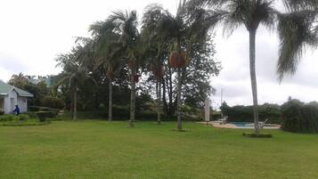 Outdoor pool, pool loungers