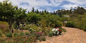 Um jardim com um caminho de pedra, plantas diversas e árvores.