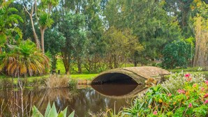 A serene garden with a stone bridge over a pond, surrounded by lush greenery and flowering plants. - Peace Valley Guesthouse (Napier)